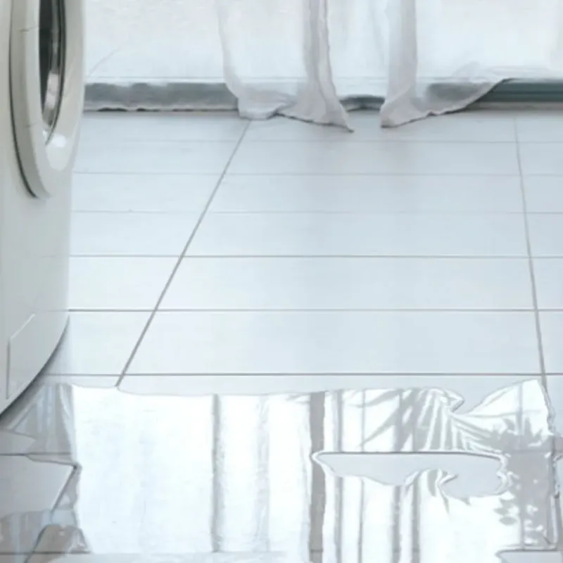 Appliance Leak Cleanup in Crockett, TX