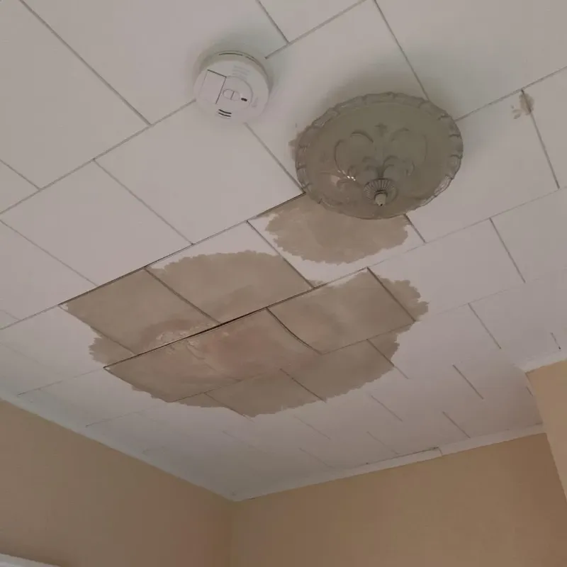 Ceiling Water Damage Repair in Crockett, TX