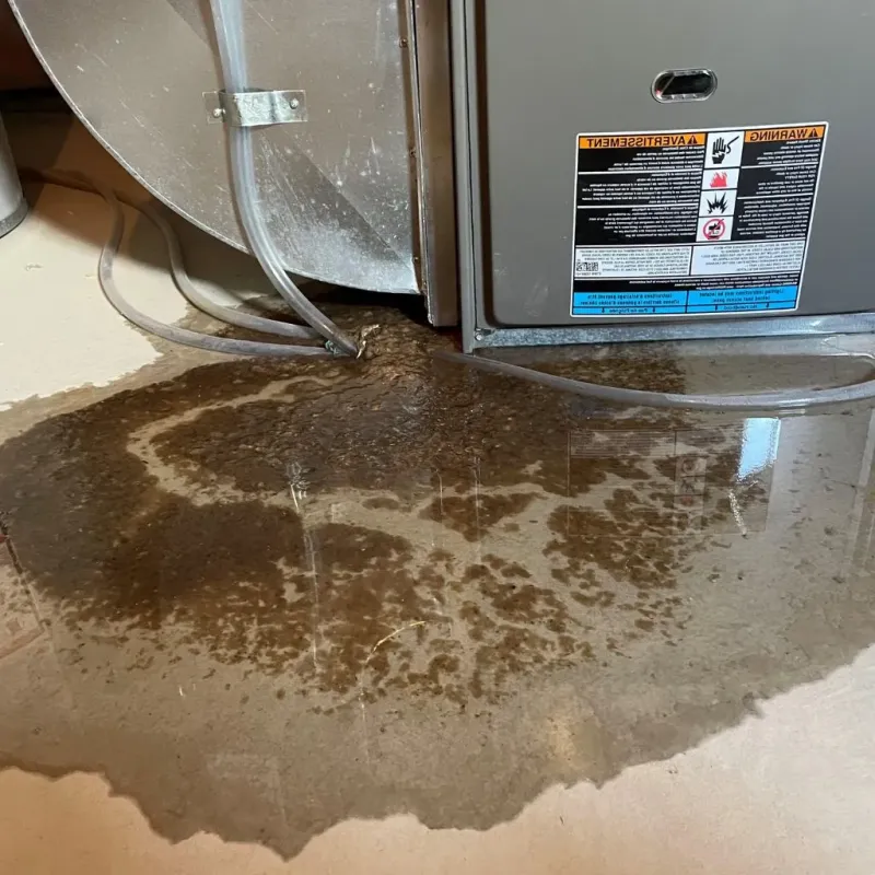 Pipe Burst and Leak Restoration in Crockett, TX