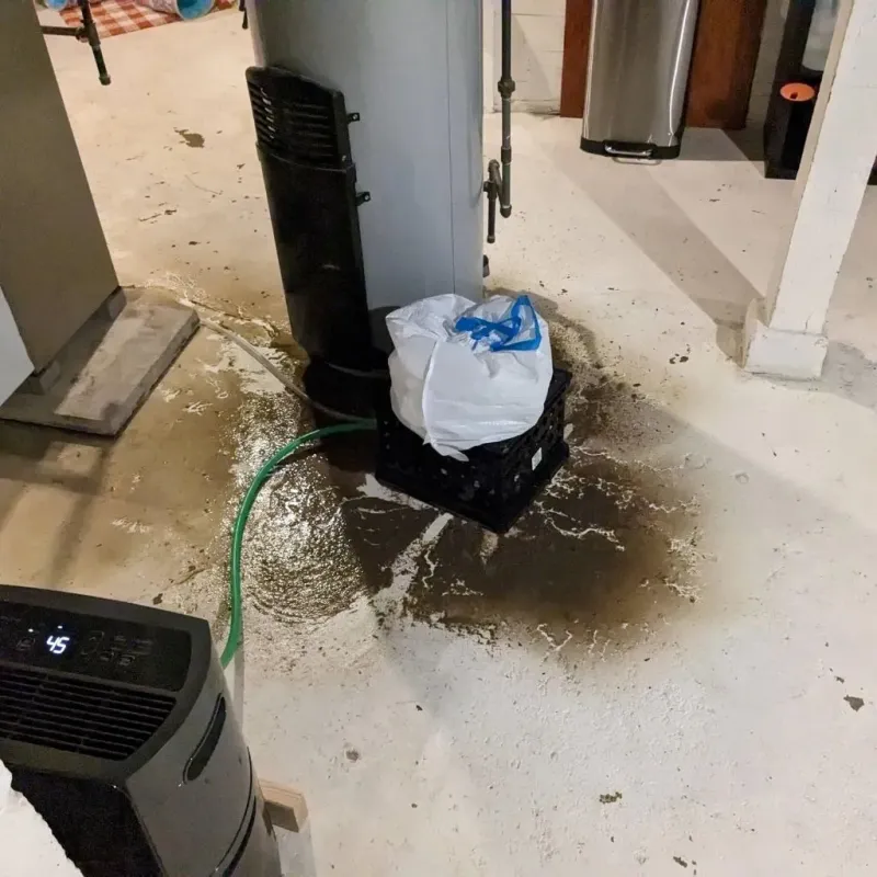 Sewage Backup Cleanup Service in Crockett, TX